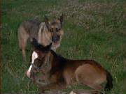 Sabo-April-2006.jpg